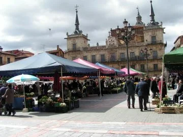 León